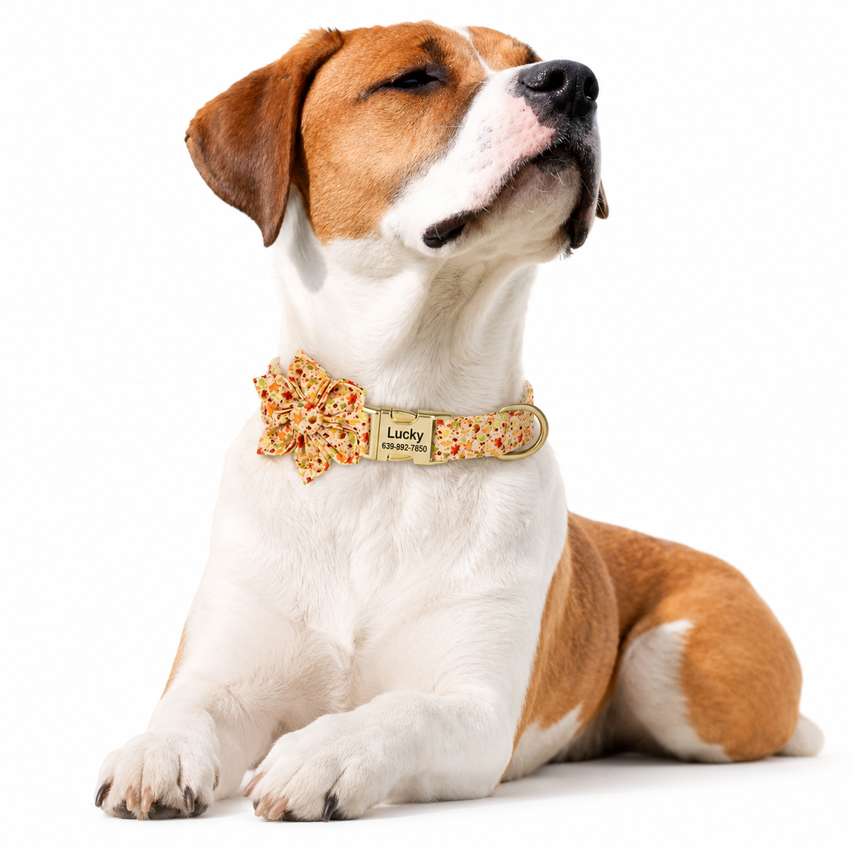 Personalized Engraved Dog Collar with Bow Flower  pet accessories YAG Boutique