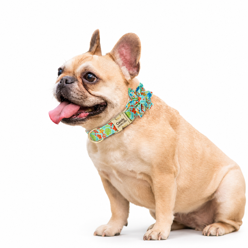 Personalized Engraved Dog Collar with Bow Flower  pet accessories YAG Boutique