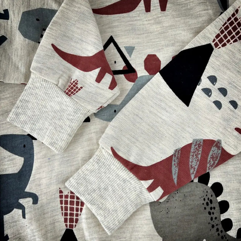 Playful Dinosaur Sweatshirt YAG Boutique