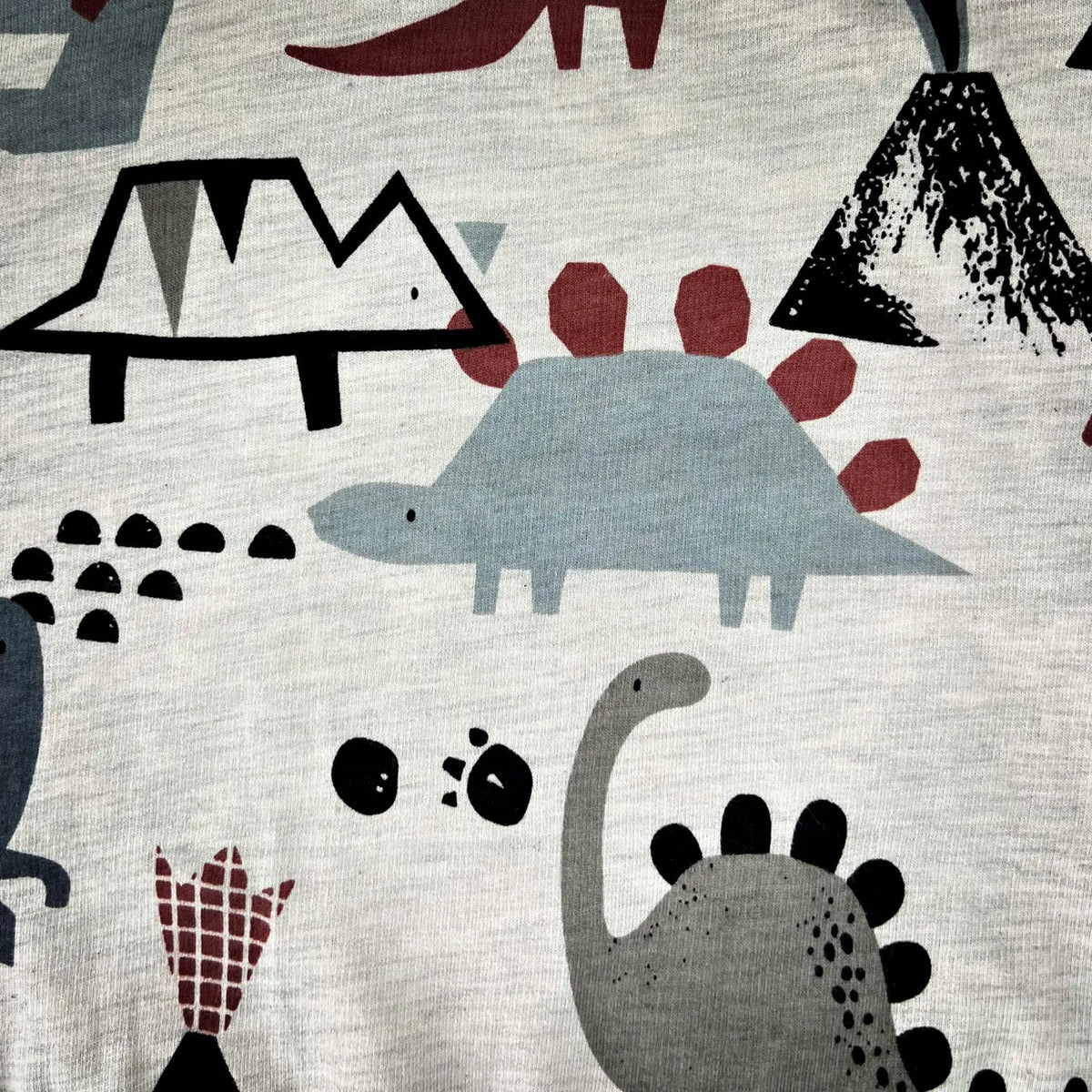 Playful Dinosaur Sweatshirt YAG Boutique