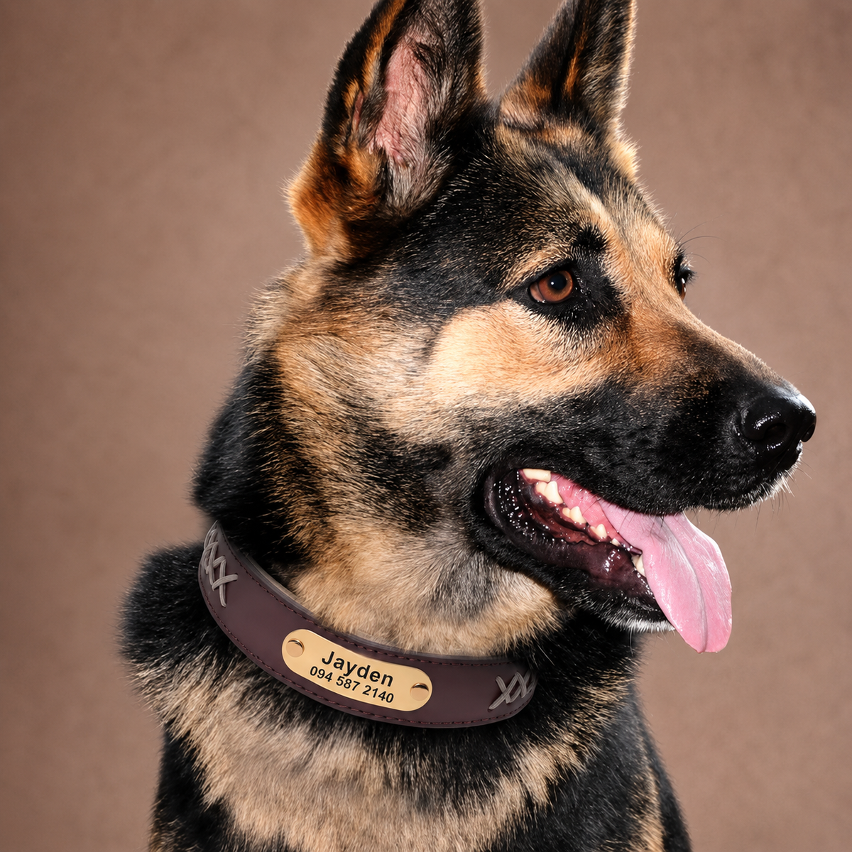 Premium Personalized PU Leather Dog Collar with Engraved Brass ID Plate  pet accessories YAG Boutique