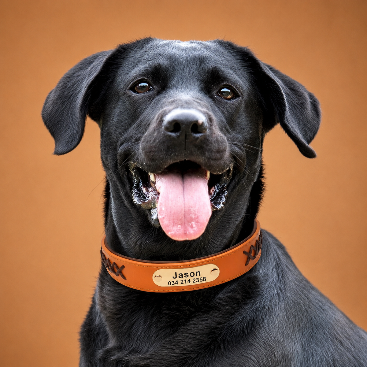 Premium Personalized PU Leather Dog Collar with Engraved Brass ID Plate  pet accessories YAG Boutique