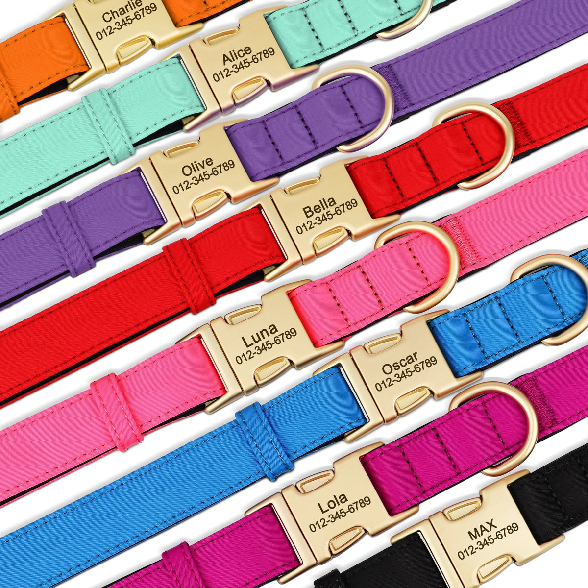 Personalised Dog Collar with Engraved Name & Phone Number  pet accessories YAG Boutique