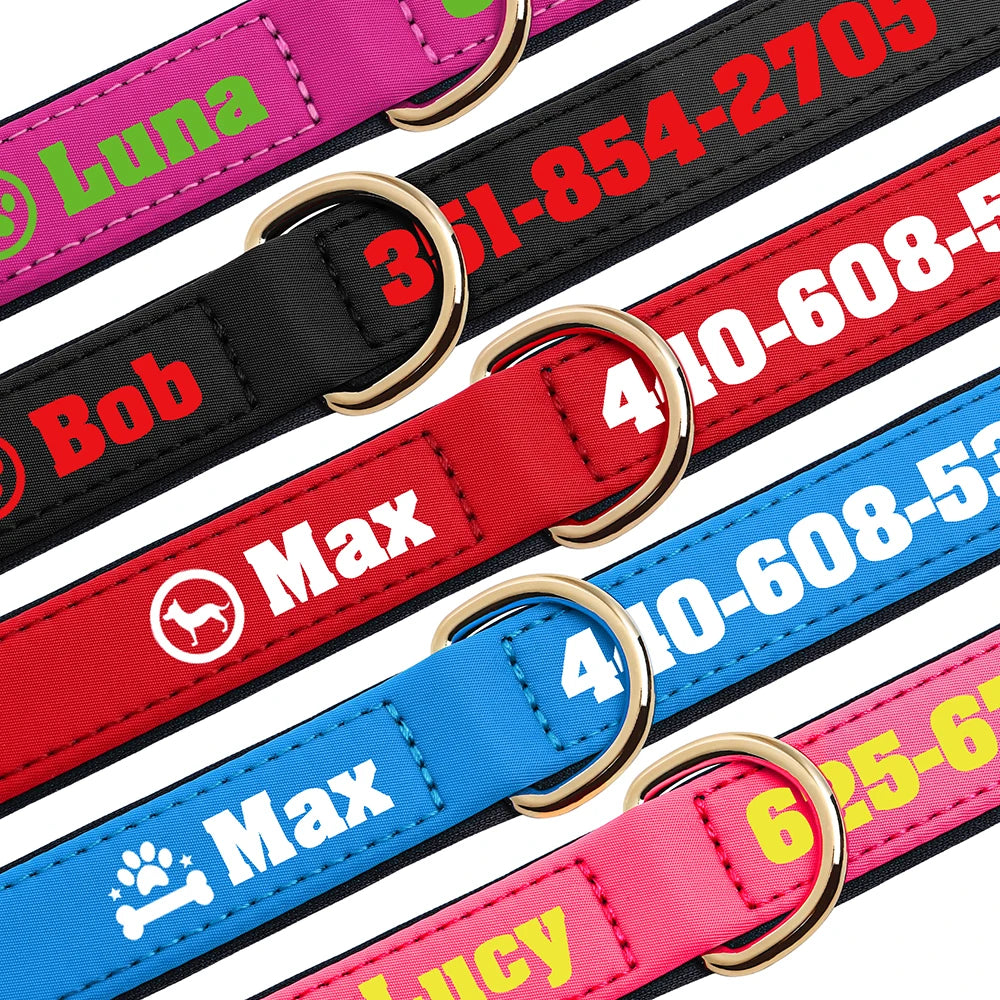 Personalised Dog Collar with Name & Phone Number  pet accessories YAG Boutique