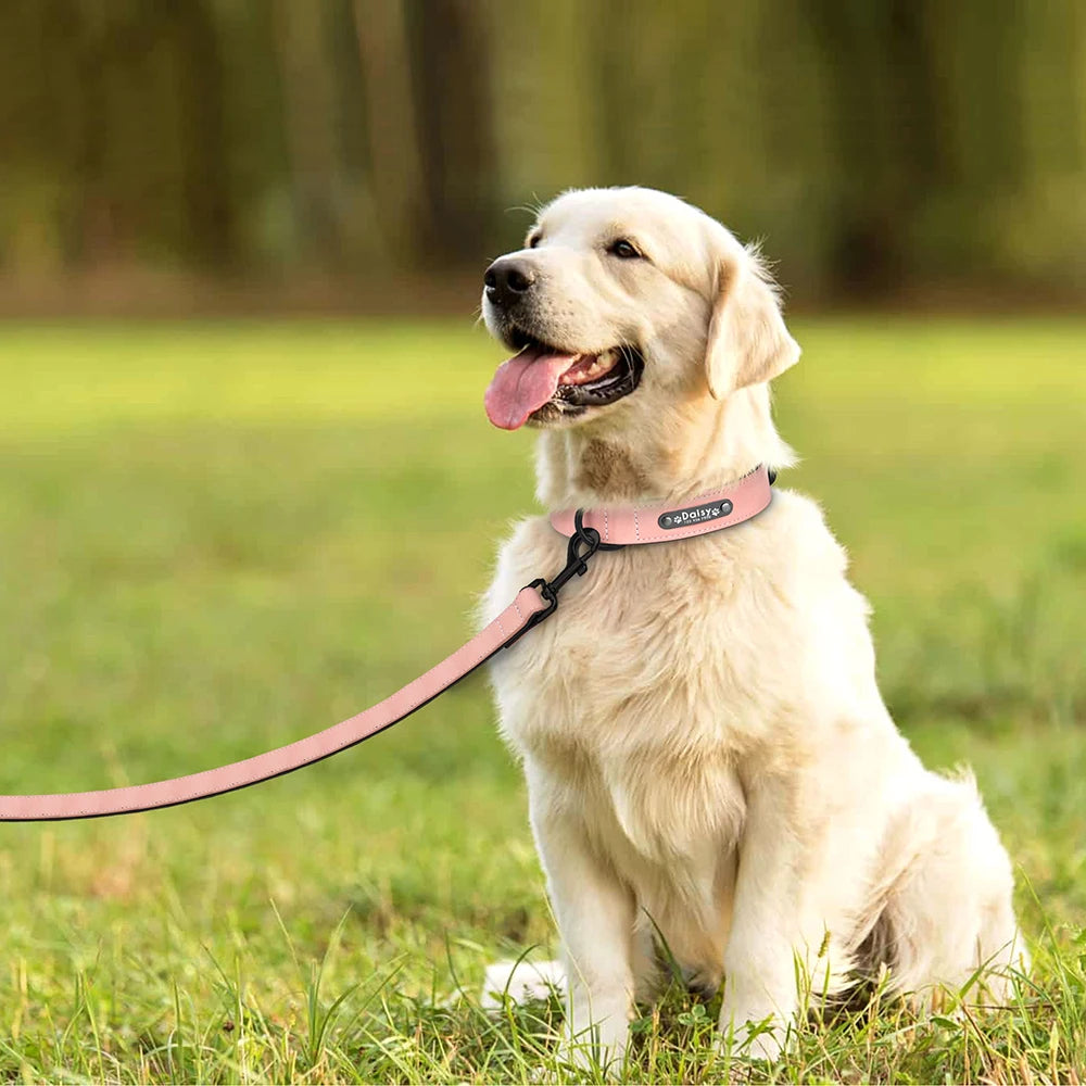 Adjustable Dog Collar - Solid Colour PU Leather Personalized  Collars Bandanas YAG Boutique