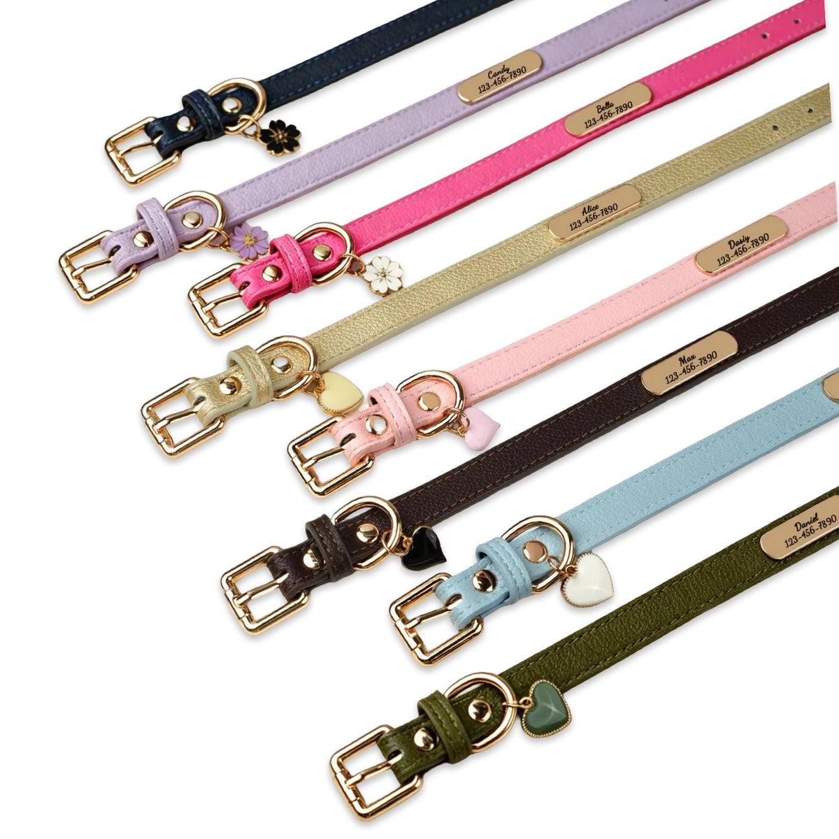 Personalised Leather Dog Collar with Engraved Gold ID Name Tag Plate & Charm  pet accessories YAG Boutique