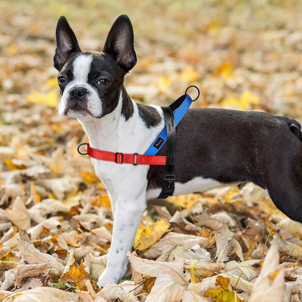 Reflective Stylish Dog Harness - Colour Mix-Match  Harness YAG Boutique