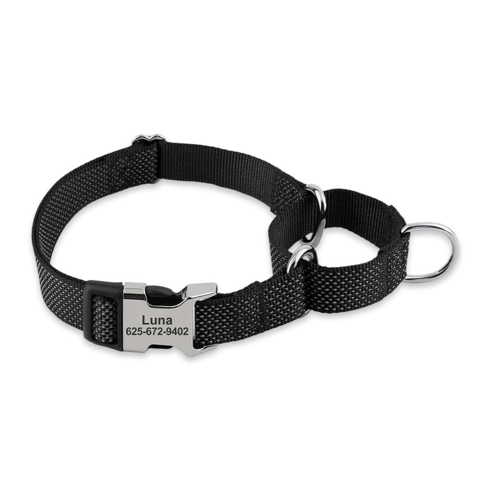 Custom Reflective Martingale Dog Collar  pet accessories YAG Boutique