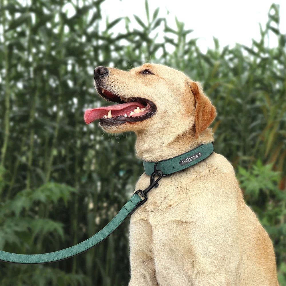 Adjustable Dog Collar - Solid Colour PU Leather Personalized  Collars Bandanas YAG Boutique
