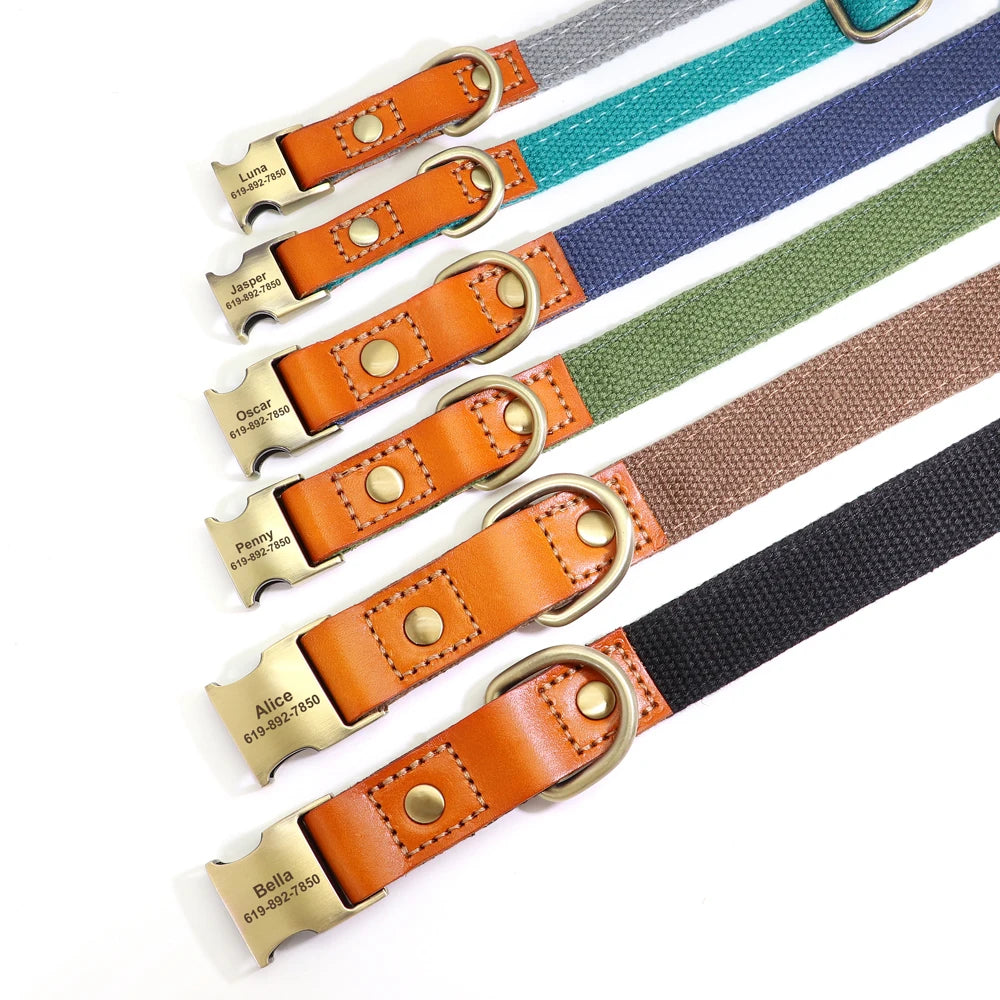 Duo Colour Personalised Dog Collor and Leash Set  pet accessories YAG Boutique