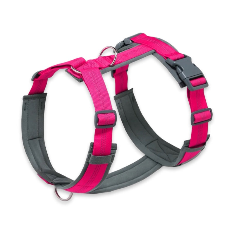 Padded Reflective No-Pull Dog Harness with Front & Back Leash Clips  pet accessories YAG Boutique