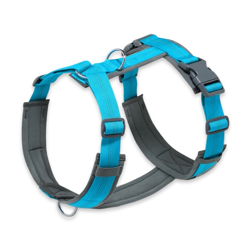 Padded Reflective No-Pull Dog Harness with Front & Back Leash Clips  pet accessories YAG Boutique