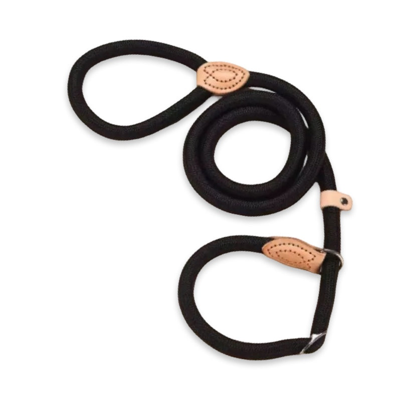 Premium All-In-One Rope Slip Lead  pet accessories YAG Boutique
