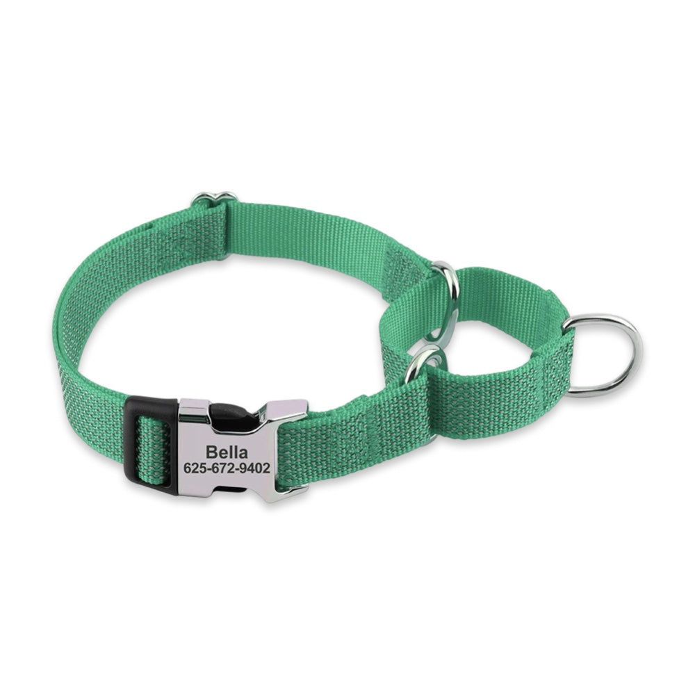 Custom Reflective Martingale Dog Collar  pet accessories YAG Boutique