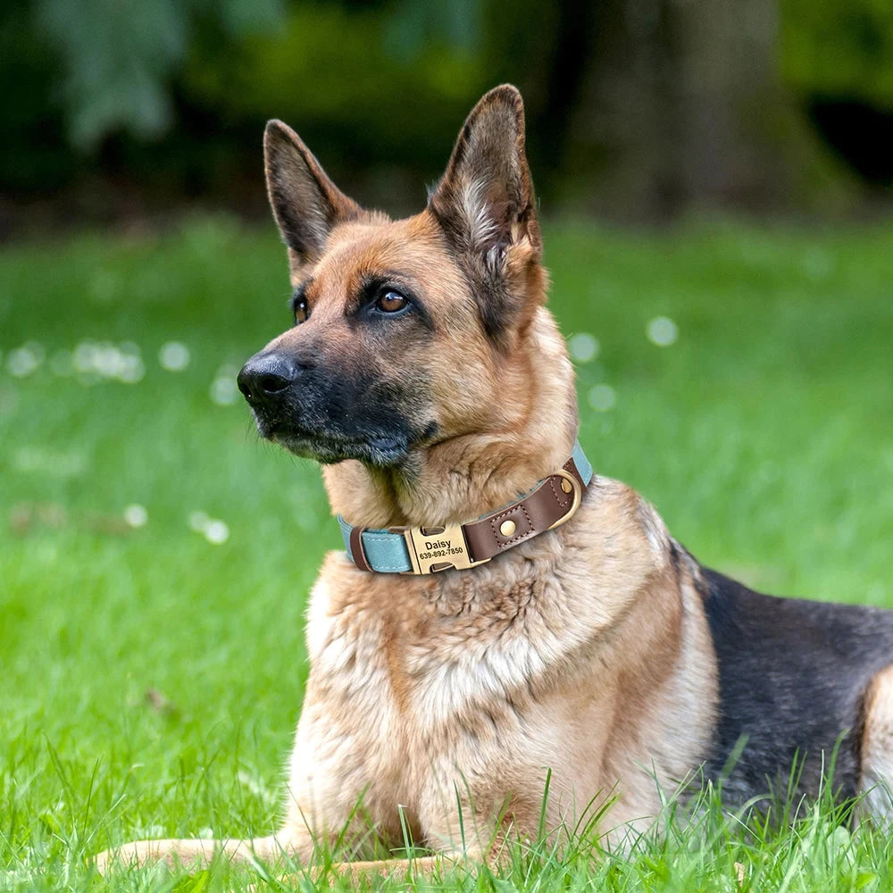 Classic PU Leather Personalised Pet Collar Duo Colour  pet accessories YAG Boutique