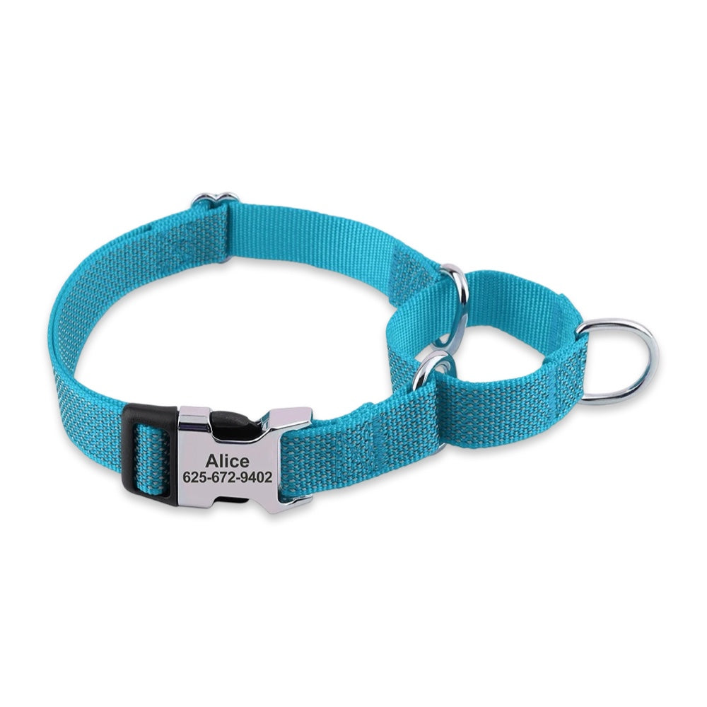 Custom Reflective Martingale Dog Collar  pet accessories YAG Boutique
