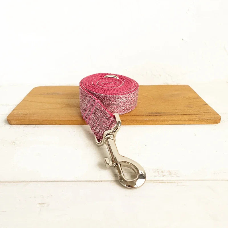 Premium Personalized Nylon Pet Collar &  Leash  Collars Bandanas YAG Boutique