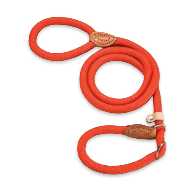 Premium All-In-One Rope Slip Lead  pet accessories YAG Boutique