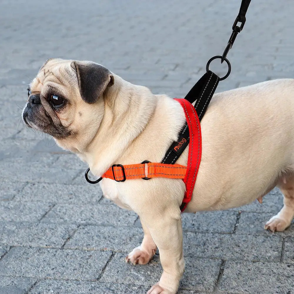Reflective Stylish Dog Harness - Colour Mix-Match  Harness YAG Boutique