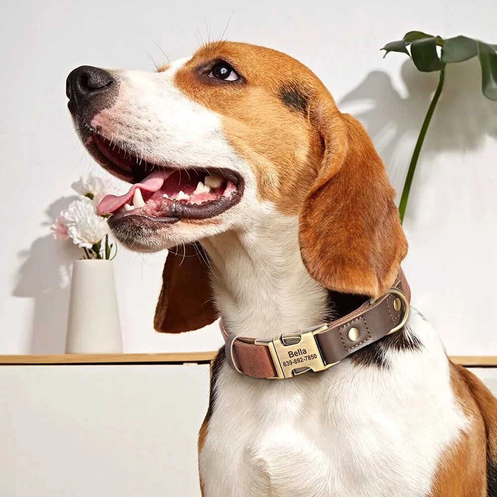 Classic PU Leather Personalised Pet Collar Duo Colour  pet accessories YAG Boutique