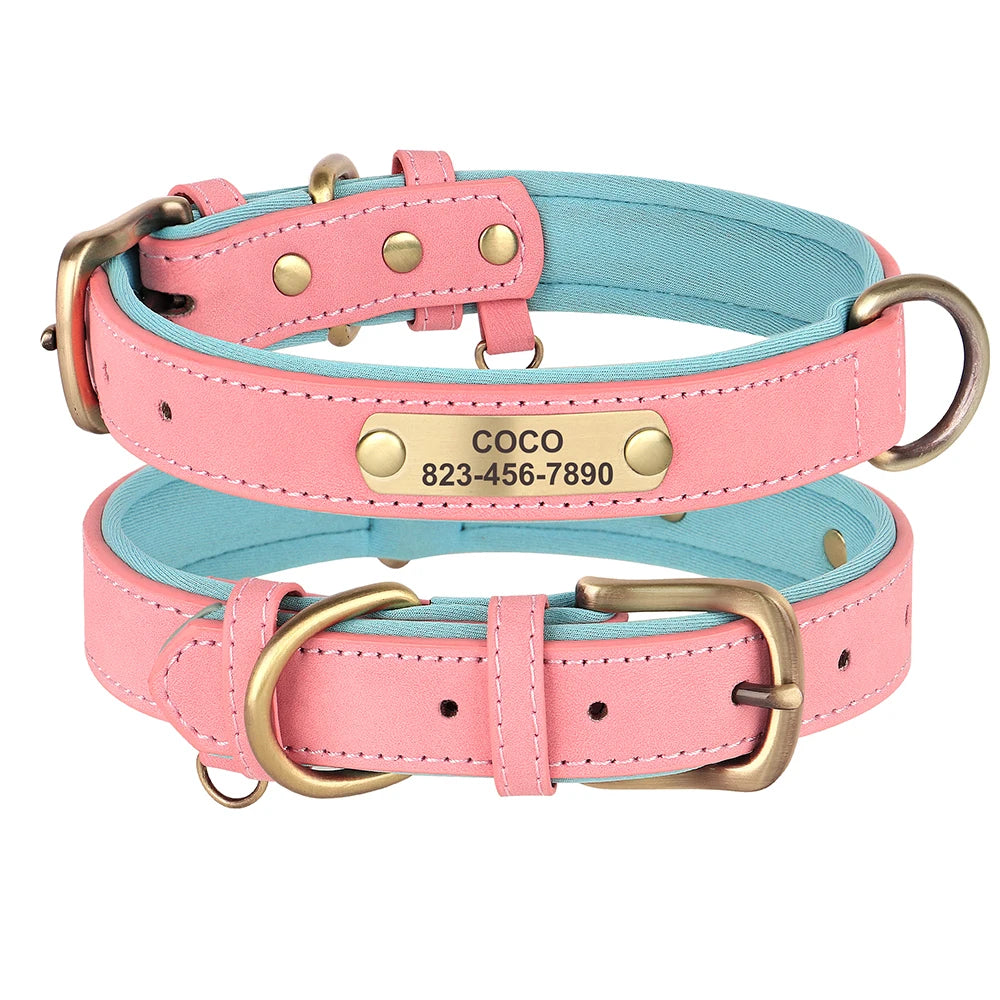 Twin Colour Leather Dog Personalised Collars  Collars Bandanas YAG Boutique