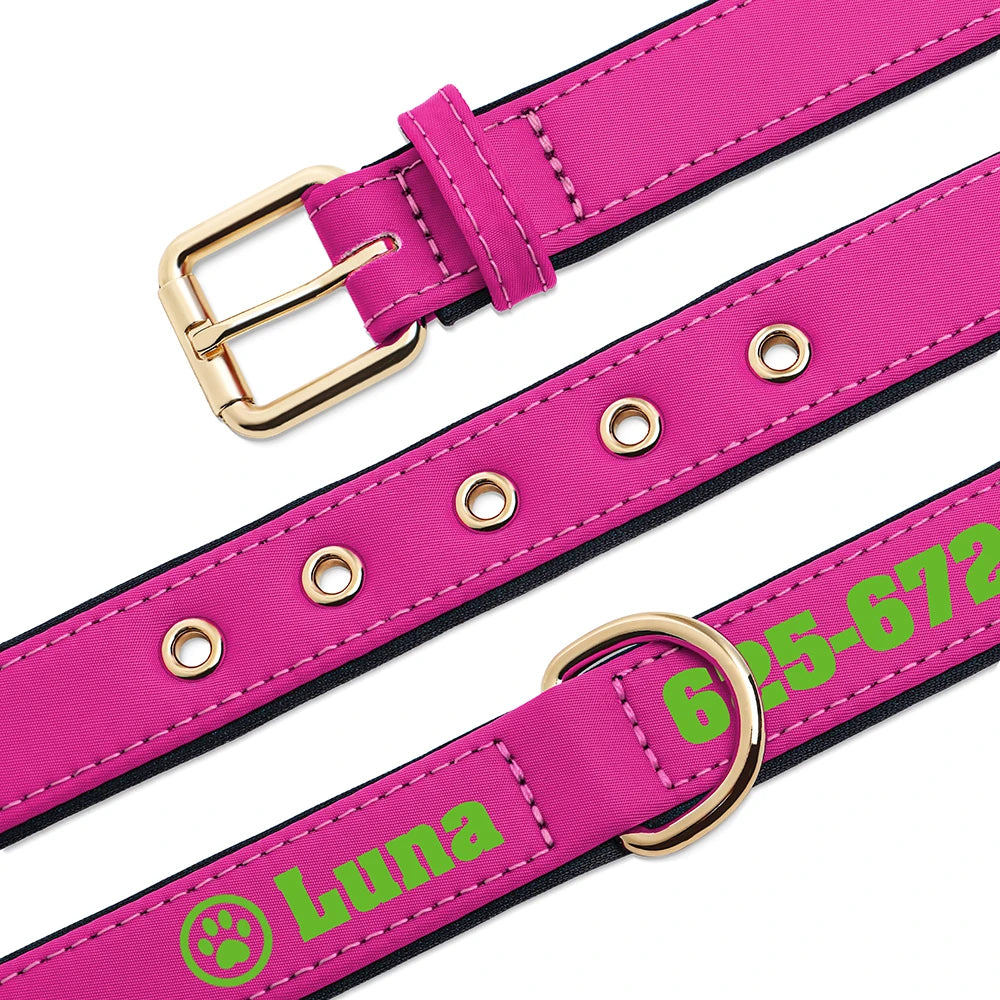 Personalised Dog Collar with Name & Phone Number  pet accessories YAG Boutique