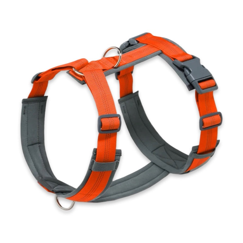 Padded Reflective No-Pull Dog Harness with Front & Back Leash Clips  pet accessories YAG Boutique