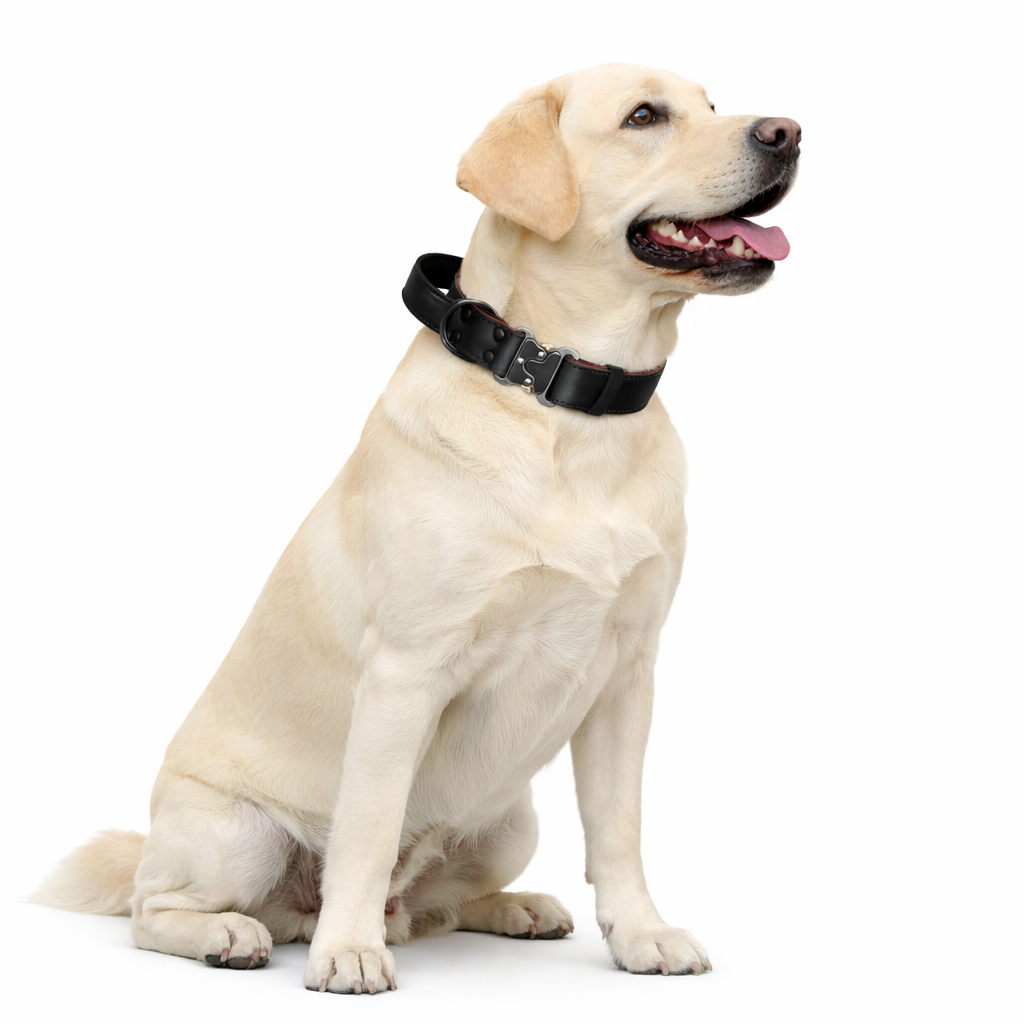 Tactical Heavy Duty Leather Dog Collar with Quick-Release Metal Buckle  pet accessories YAG Boutique