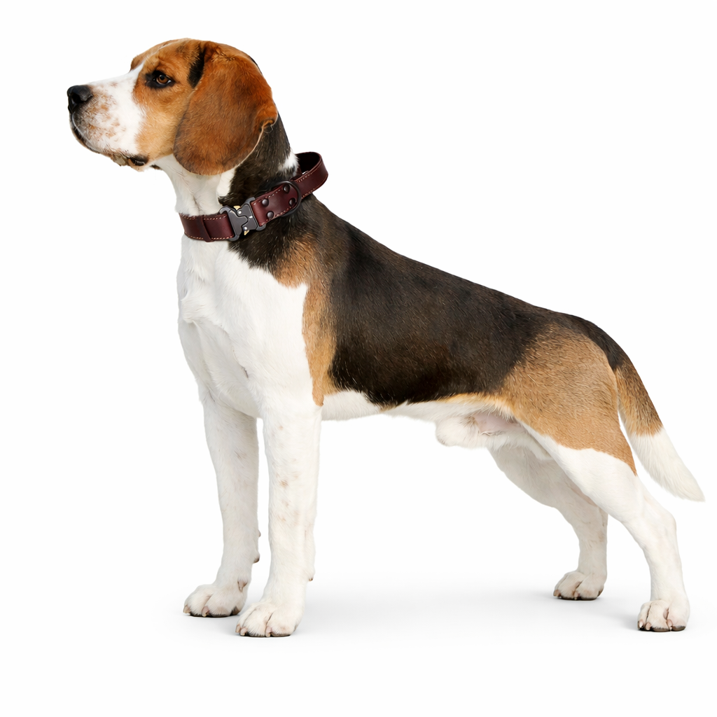 Tactical Heavy Duty Leather Dog Collar with Quick-Release Metal Buckle  pet accessories YAG Boutique