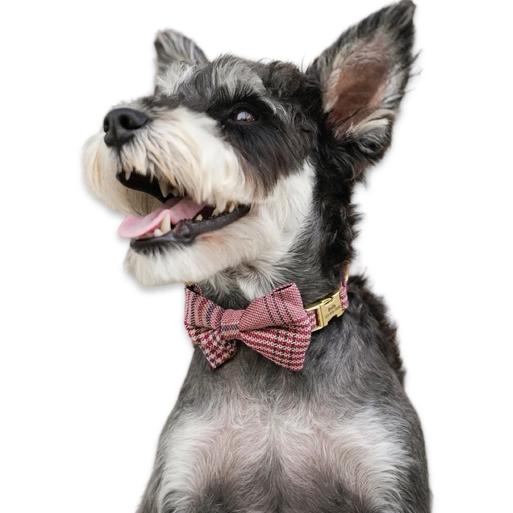 Customisable Plaid Bow Dog Collar  pet accessories YAG Boutique