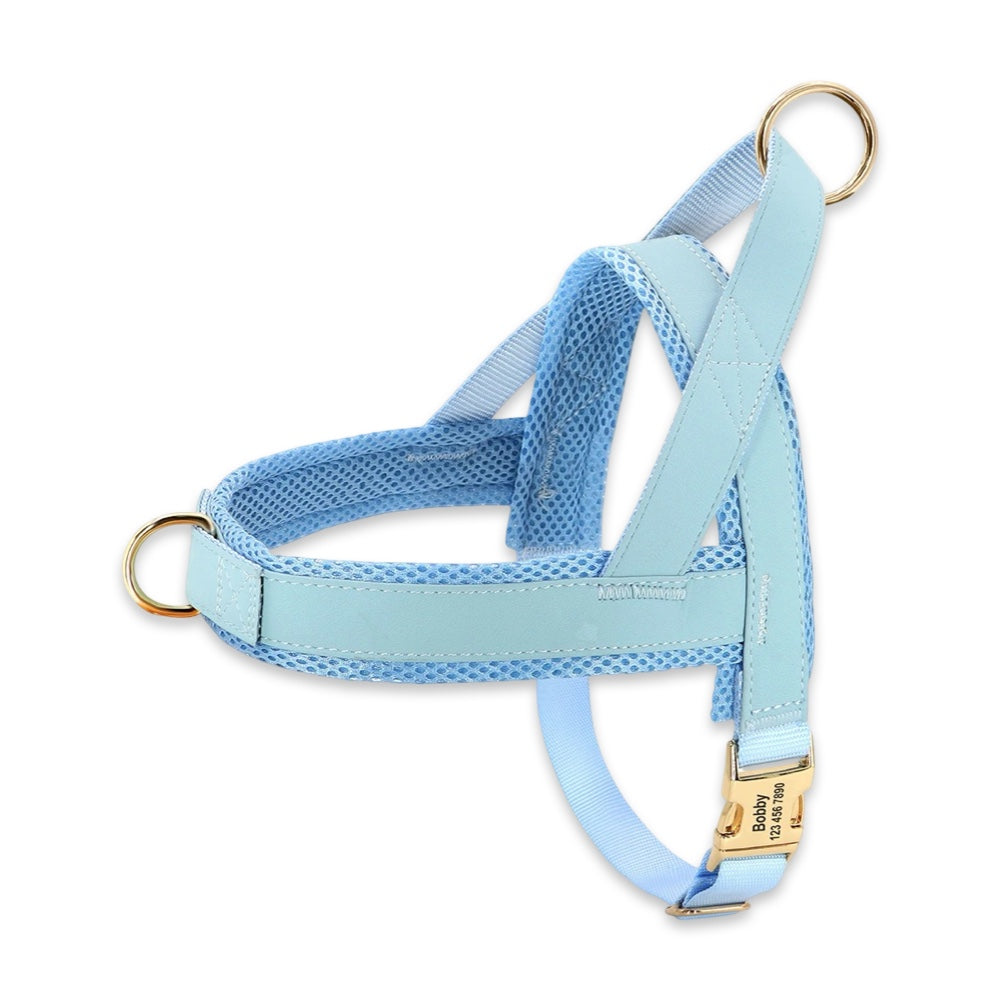 Personalised No-Pull Dog Harness & Leash Set  pet accessories YAG Boutique