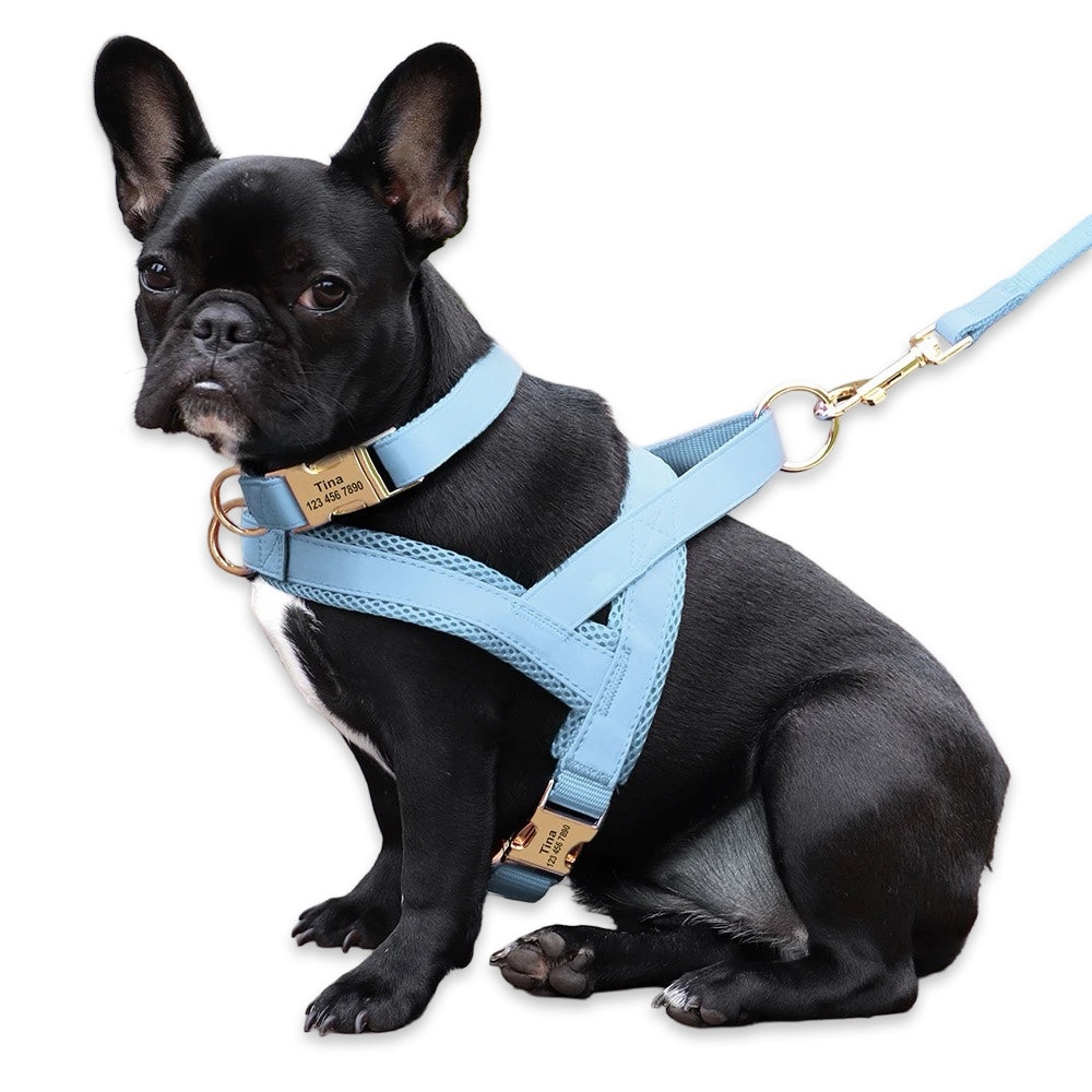 Personalised No-Pull Dog Harness & Leash Set  pet accessories YAG Boutique
