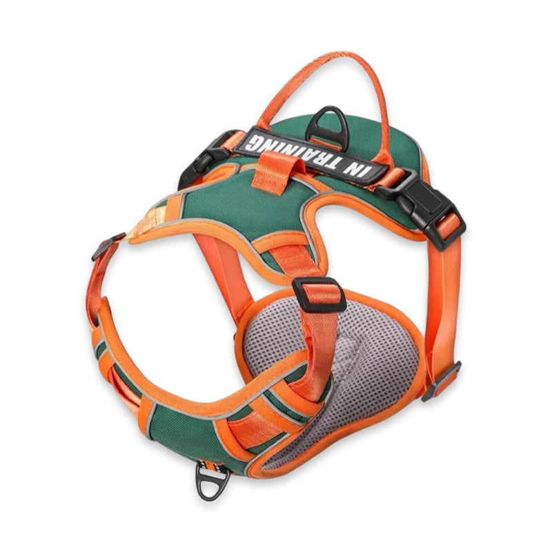 Custom Name No-Pull Dog Harness  pet accessories YAG Boutique