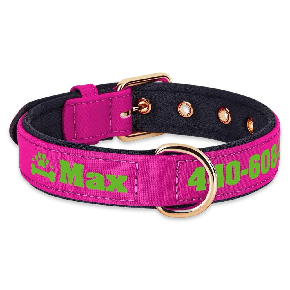 Personalised Dog Collar with Name & Phone Number  pet accessories YAG Boutique