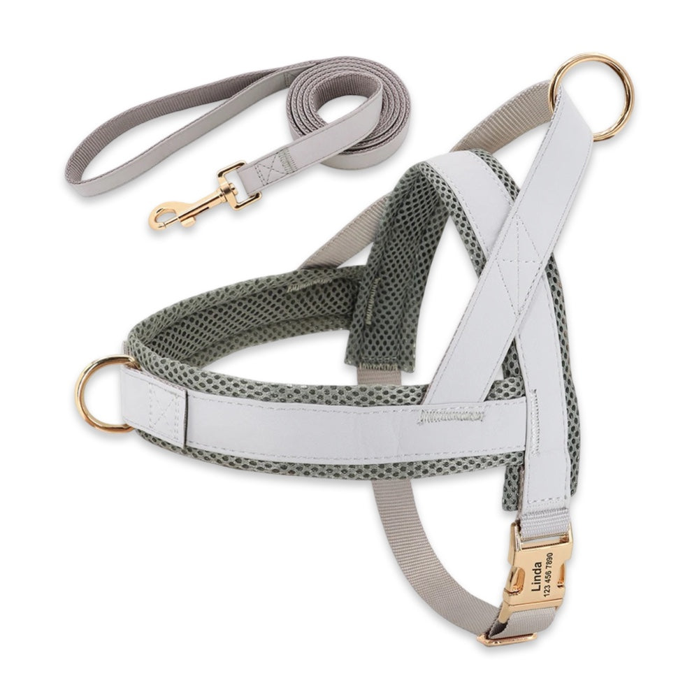 Personalised No-Pull Dog Harness & Leash Set  pet accessories YAG Boutique