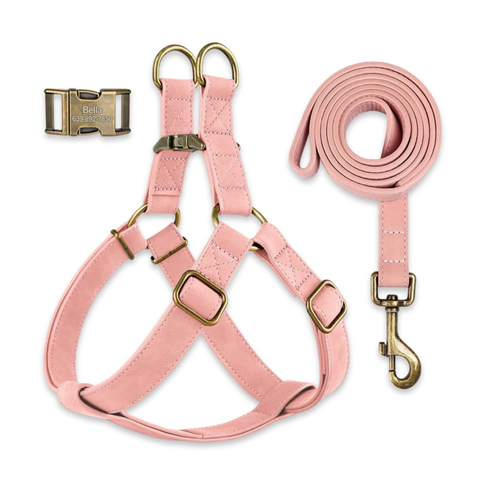 Personalised Dog Harness & Leash Set with Engraved ID Buckle  pet accessories YAG Boutique