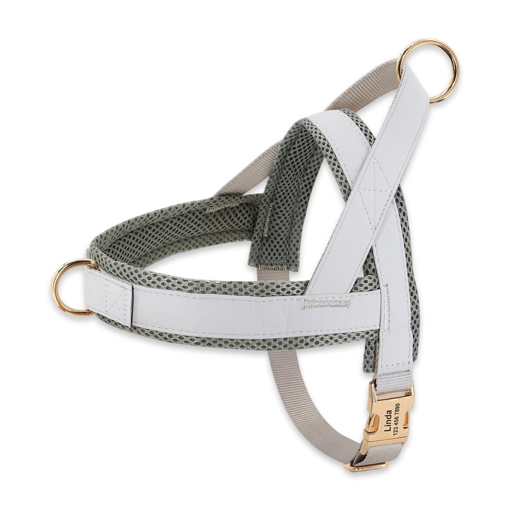 Personalised No-Pull Dog Harness & Leash Set  pet accessories YAG Boutique