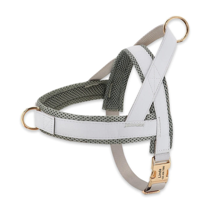 Personalised No-Pull Dog Harness & Leash Set  pet accessories YAG Boutique