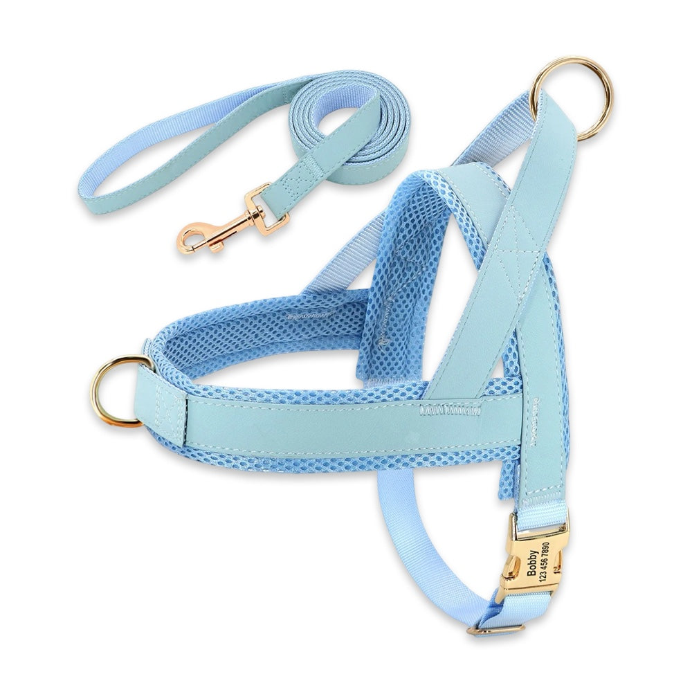 Personalised No-Pull Dog Harness & Leash Set  pet accessories YAG Boutique