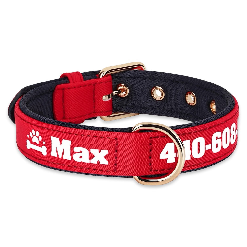 Personalised Dog Collar with Name & Phone Number  pet accessories YAG Boutique