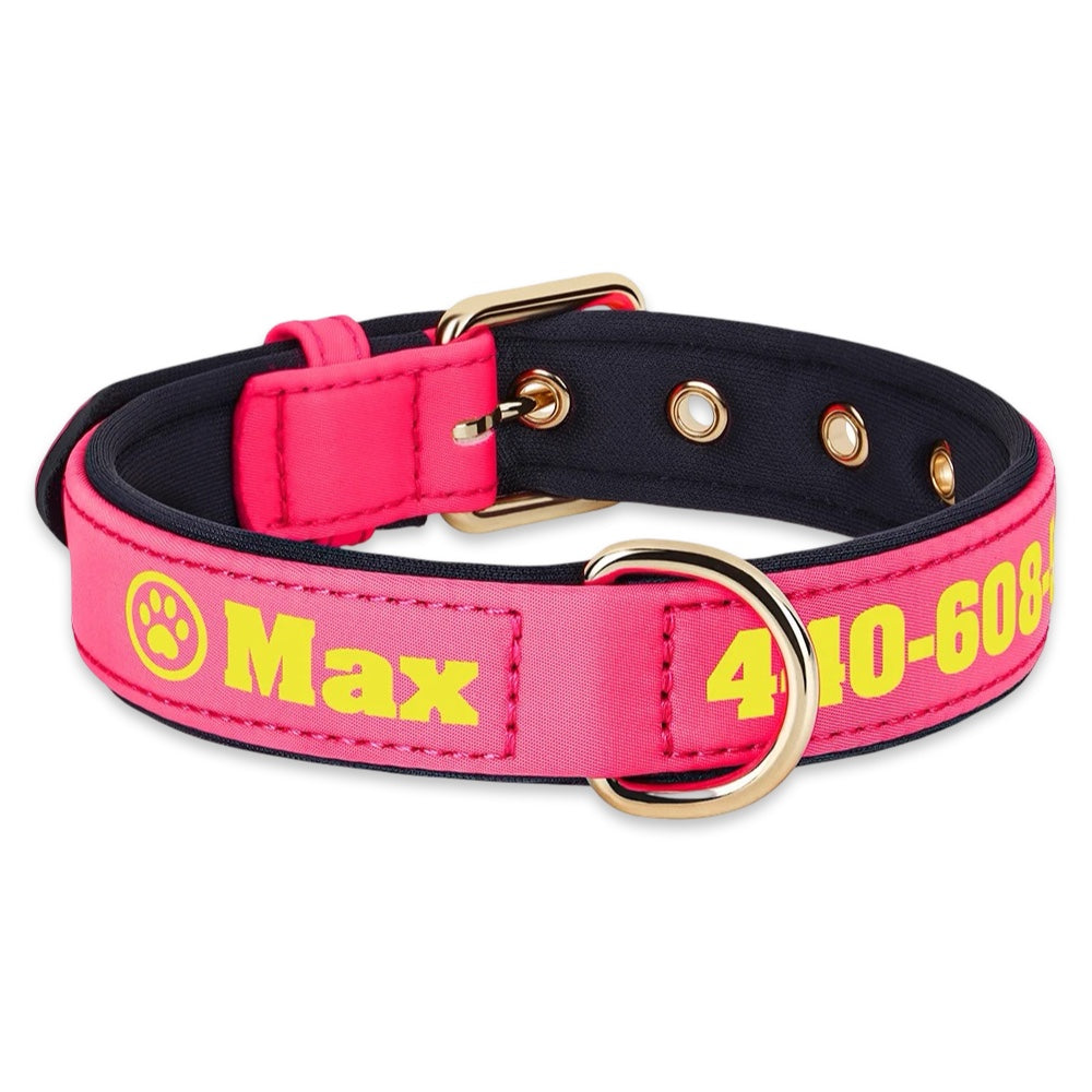 Personalised Dog Collar with Name & Phone Number  pet accessories YAG Boutique