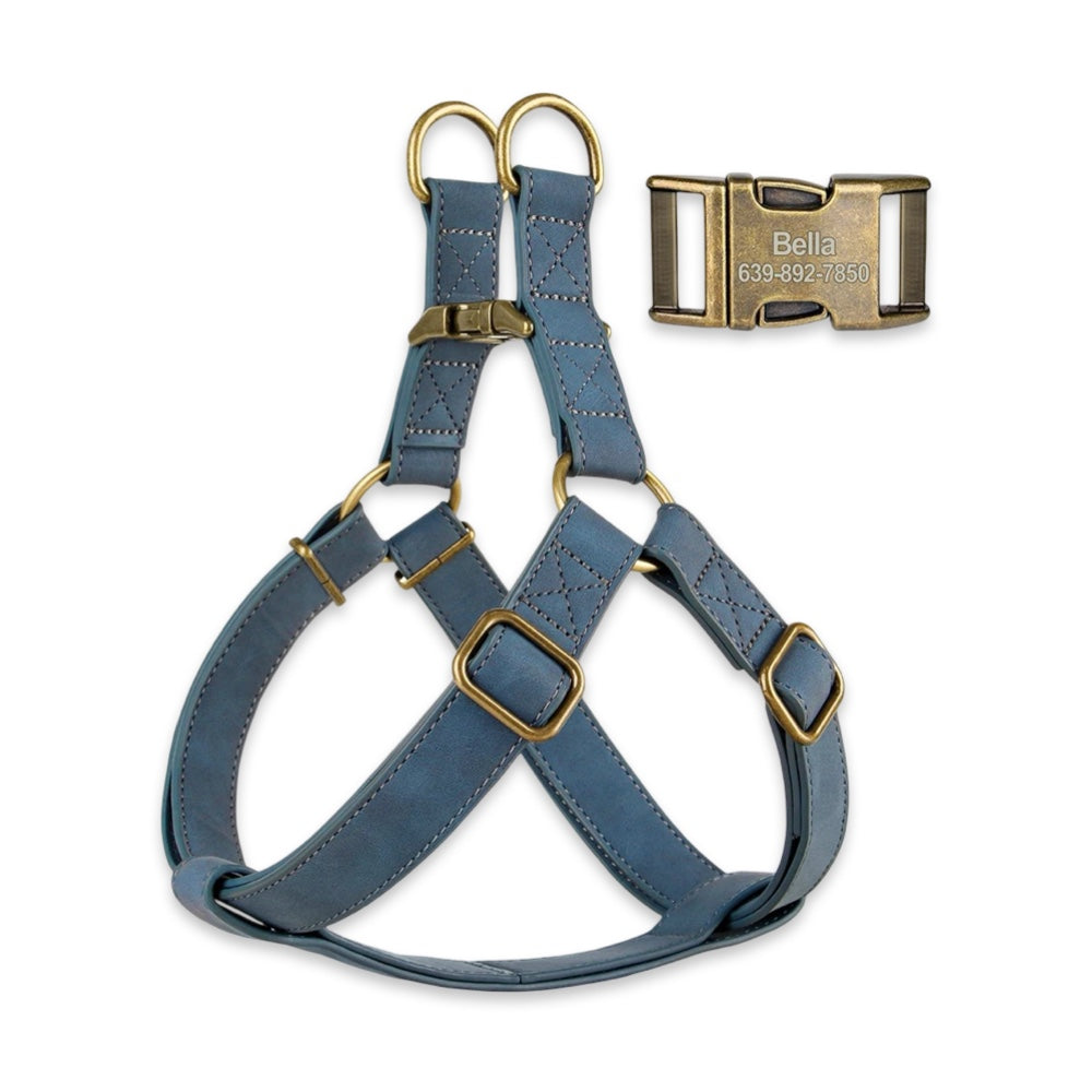 Personalised Dog Harness & Leash Set with Engraved ID Buckle  pet accessories YAG Boutique