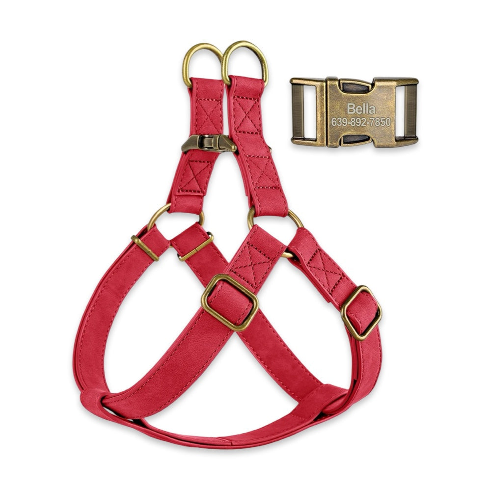 Personalised Dog Harness & Leash Set with Engraved ID Buckle  pet accessories YAG Boutique