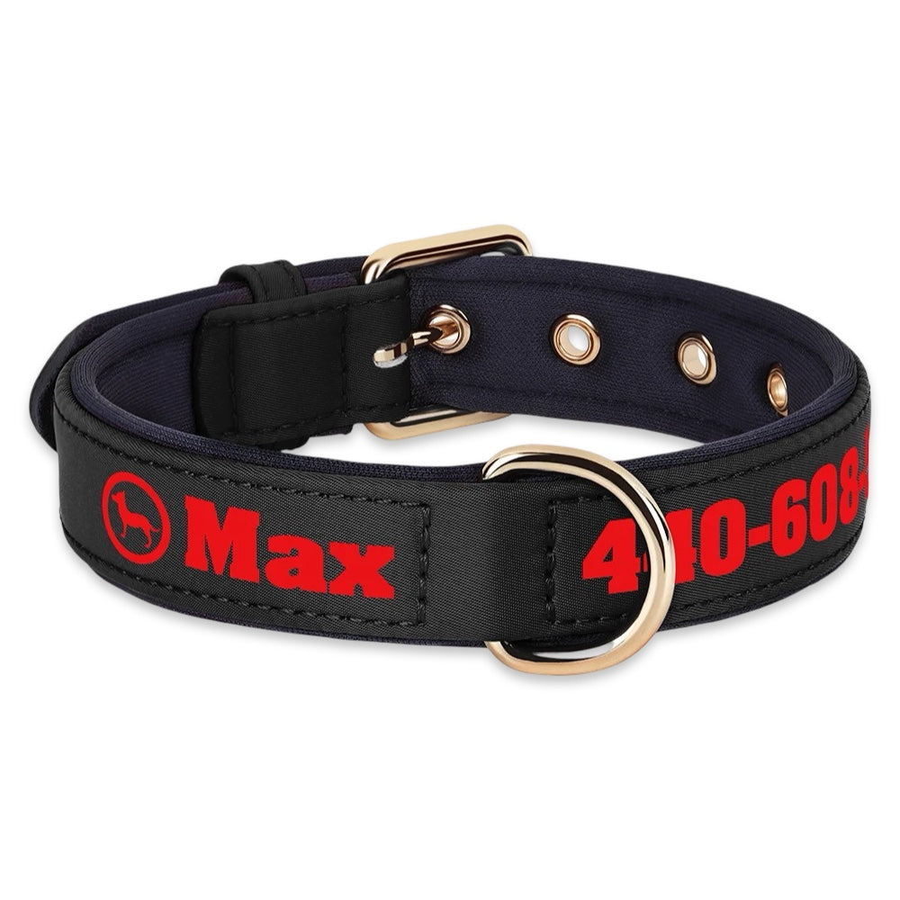 Personalised Dog Collar with Name & Phone Number  pet accessories YAG Boutique