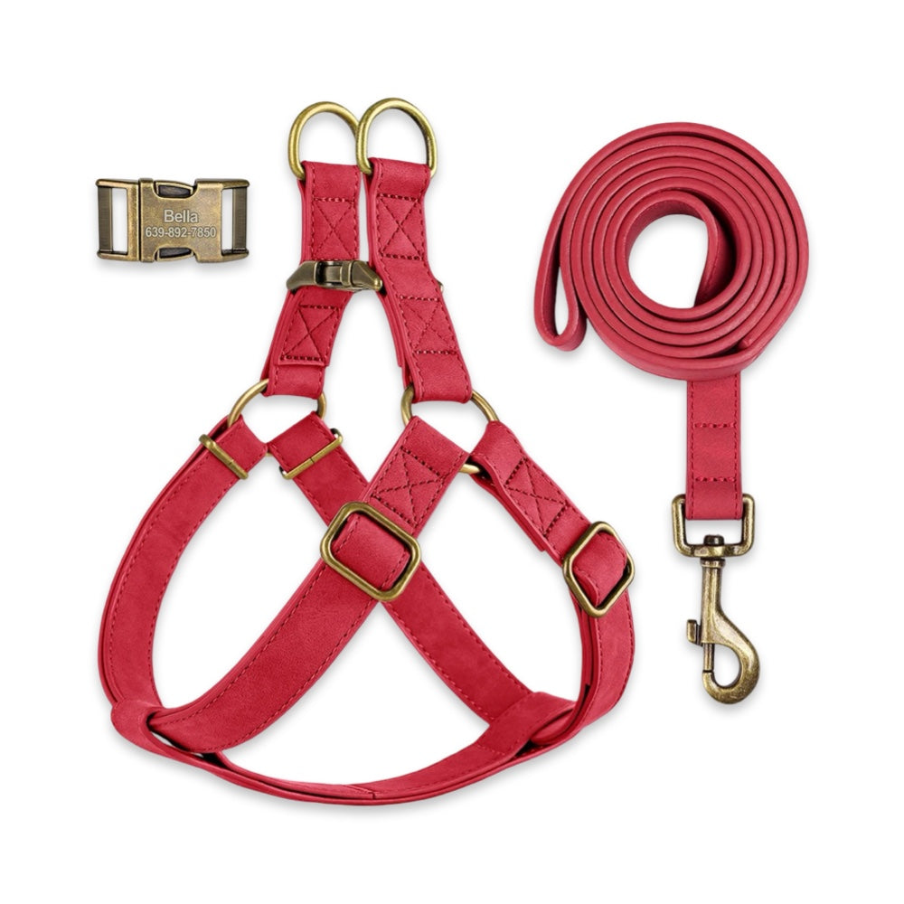 Personalised Dog Harness & Leash Set with Engraved ID Buckle  pet accessories YAG Boutique