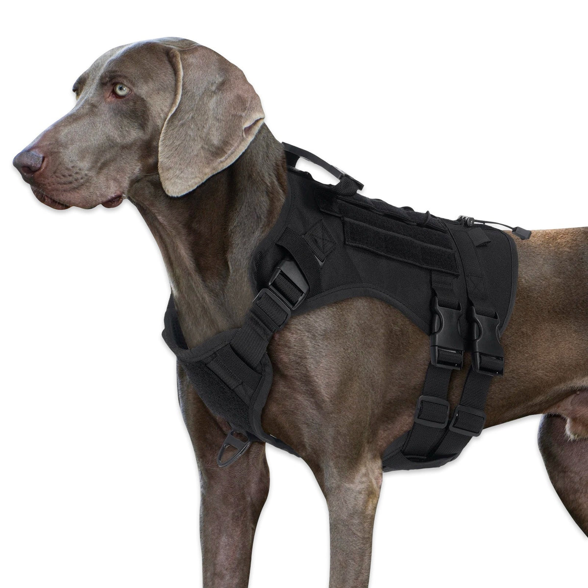 Tactical No-Pull Dog Harness  pet accessories YAG Boutique