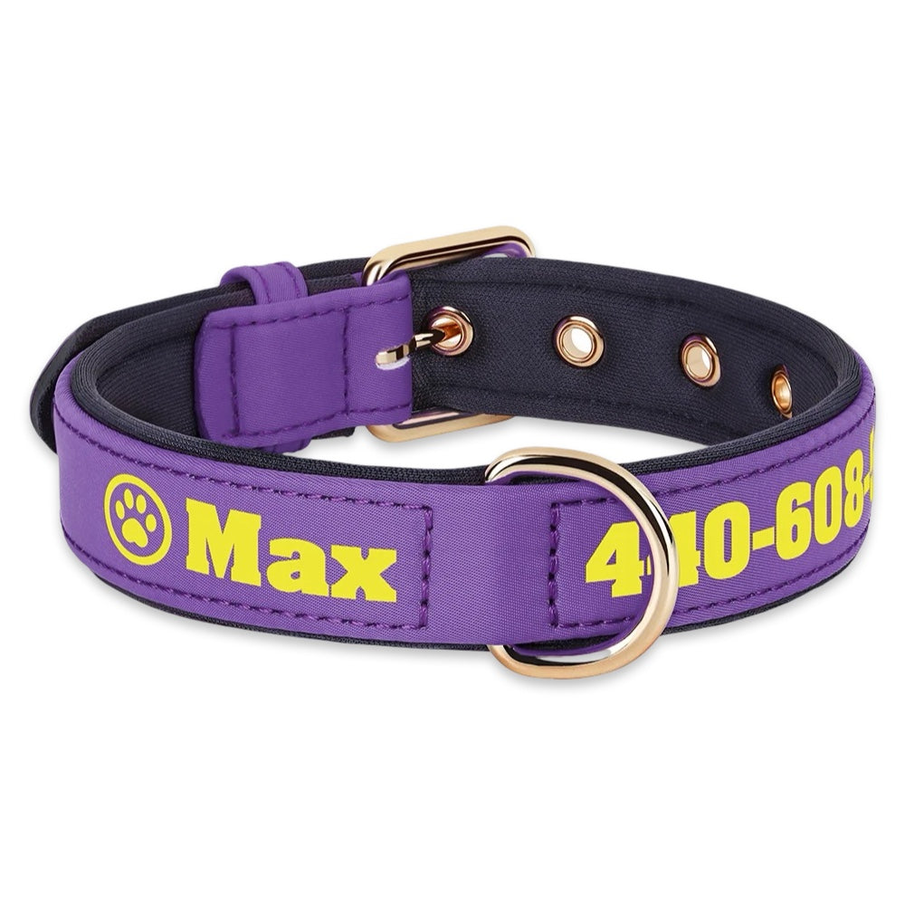 Personalised Dog Collar with Name & Phone Number  pet accessories YAG Boutique