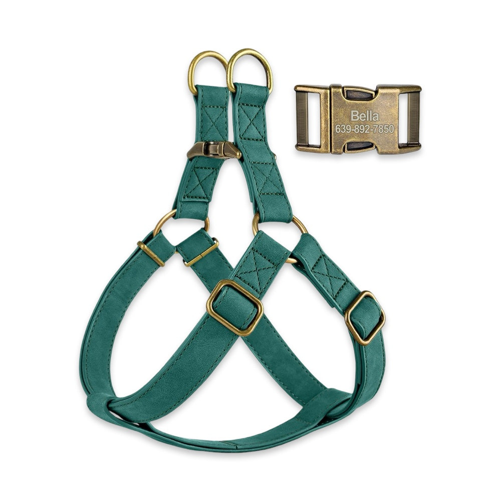 Personalised Dog Harness & Leash Set with Engraved ID Buckle  pet accessories YAG Boutique
