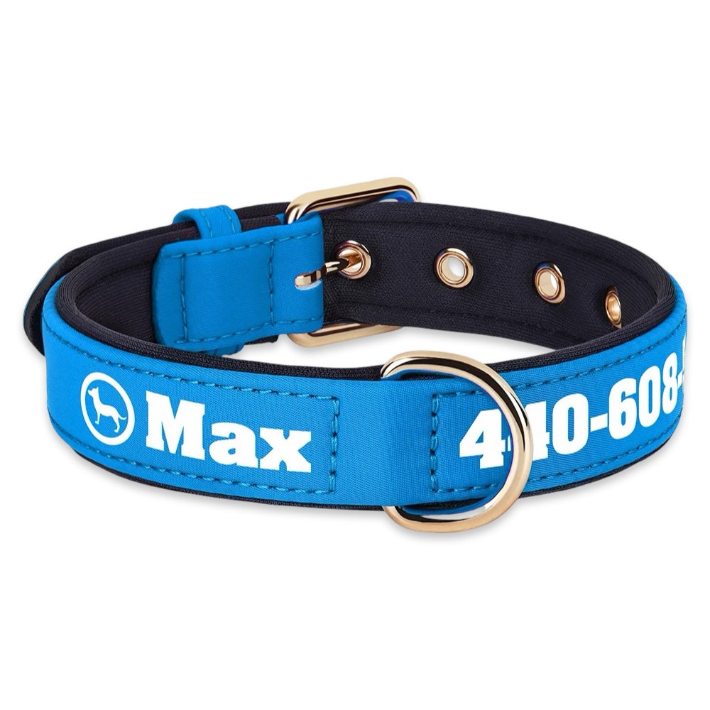 Personalised Dog Collar with Name & Phone Number  pet accessories YAG Boutique