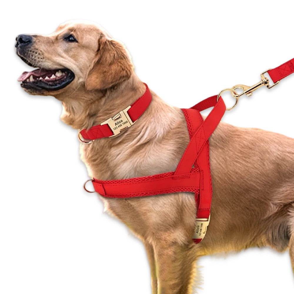 Personalised No-Pull Dog Harness & Leash Set  pet accessories YAG Boutique